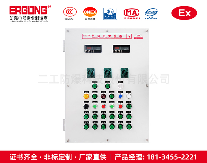 防爆配電箱（柜）-耐高溫